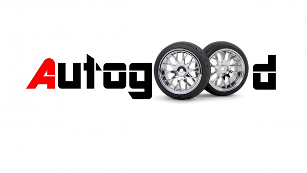 Логотип компании Autog00d